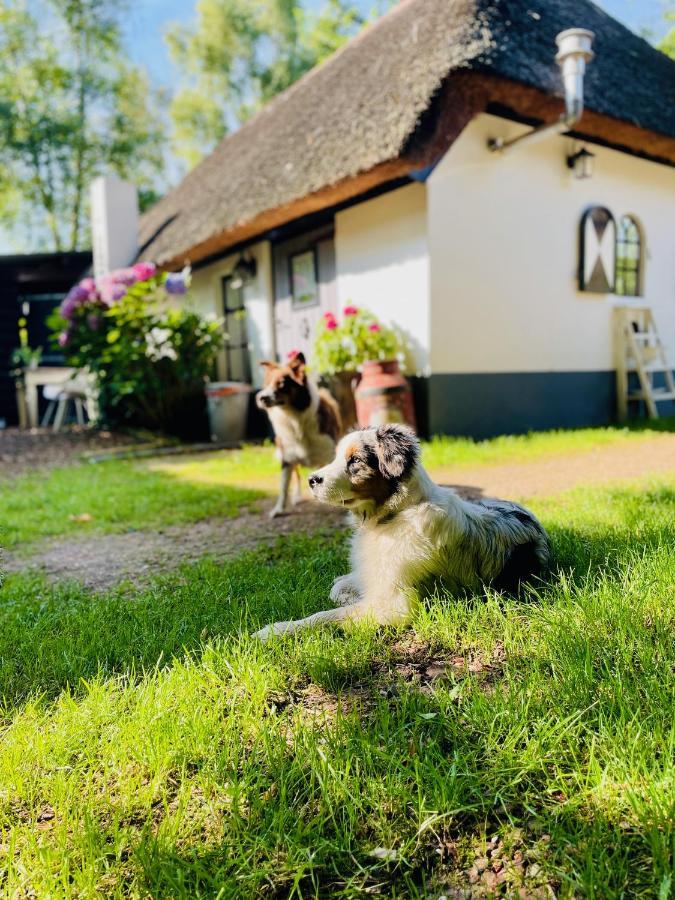 Bakhuisje Op De Veluwe Heerde Exterior foto