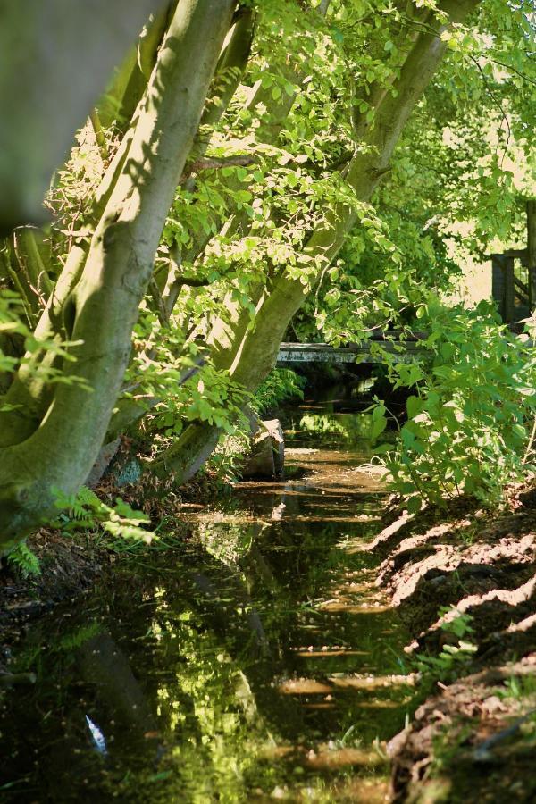 Bakhuisje Op De Veluwe Heerde Exterior foto